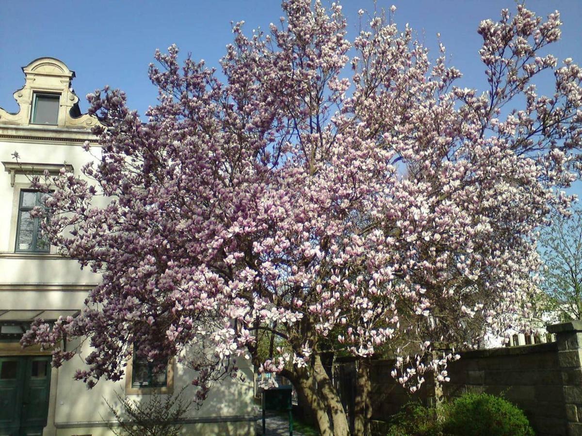 Pirna-Apartment ภายนอก รูปภาพ